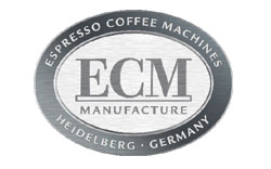 ecm reparaturservice